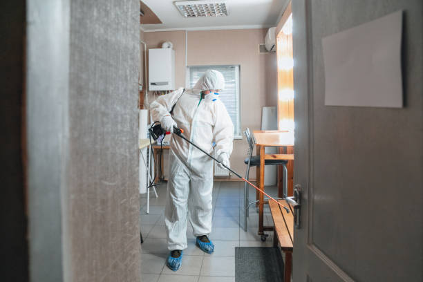 Environmental Consulting for Mold Prevention in South Deerfield, MA