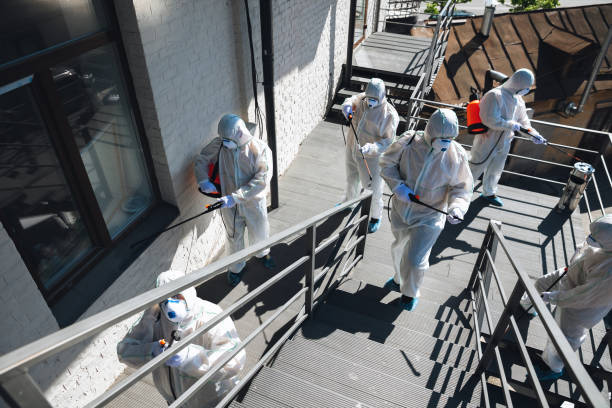 Best Post-Remediation Verification Testing  in South Deerfield, MA
