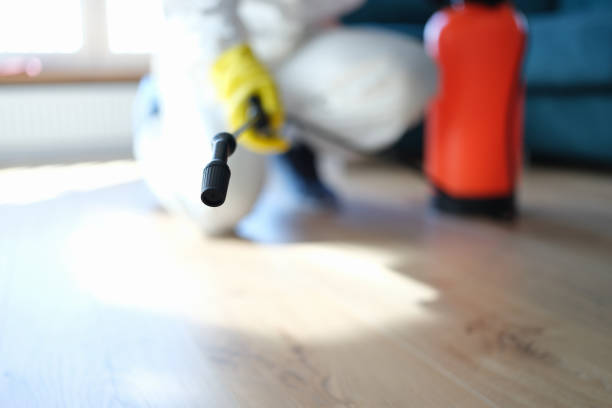 Best HVAC Mold Inspection and Cleaning  in South Deerfield, MA
