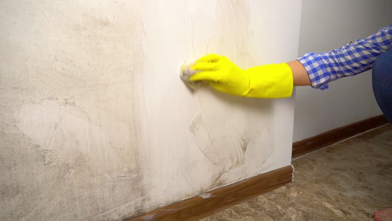 Best Residential Mold Inspection & Testing  in South Deerfield, MA